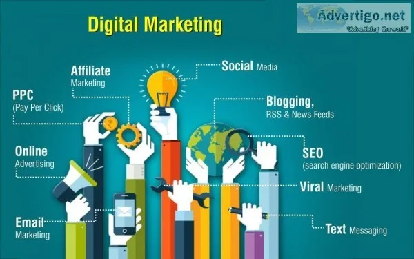 Find Responsible Digital Marketing Company in Noida