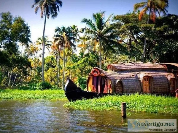 Backwaters, beaches & hills of kerala