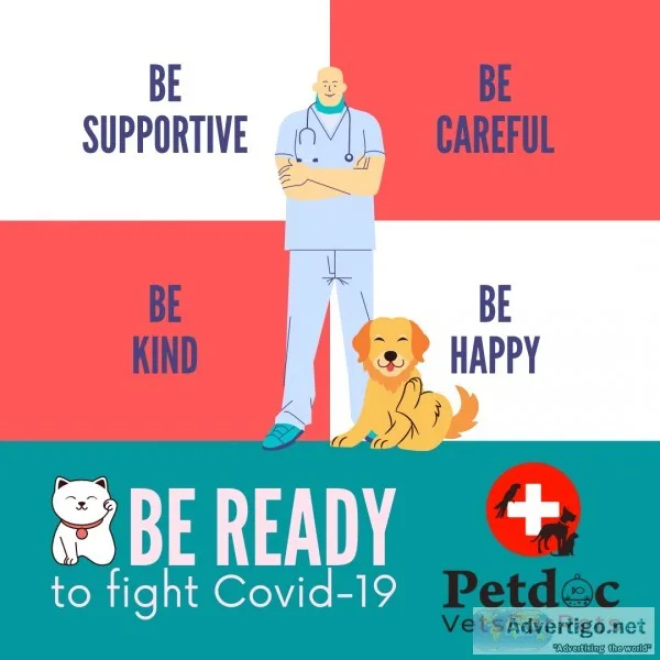 Best dogs training in hyderabad
