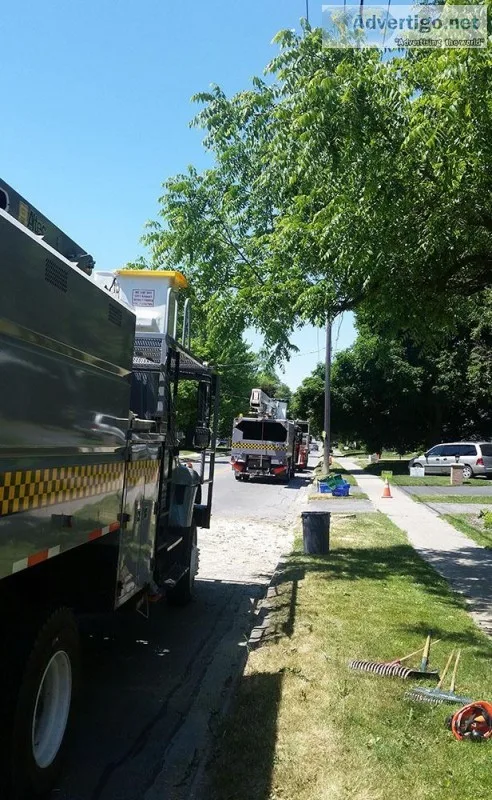 Tree pruning service in Oshawa