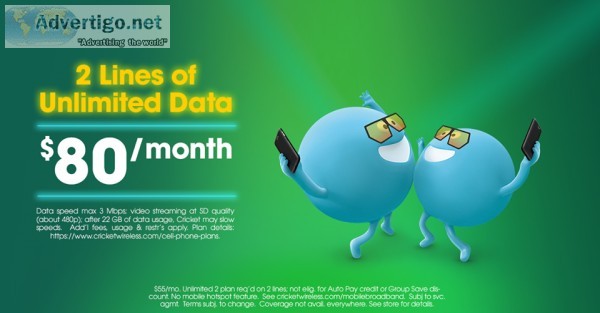 2 LINES UNLIMITED DATA FOR 80