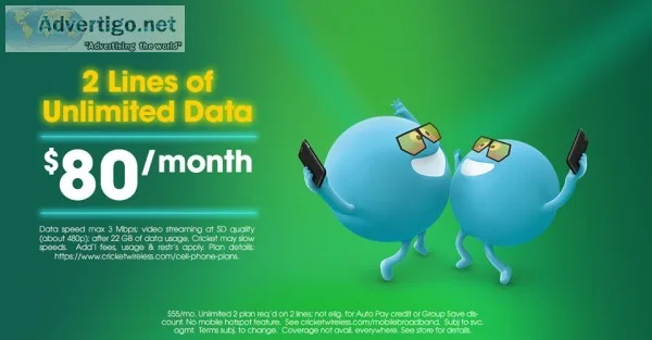 2 LINES UNLIMITED DATA FOR 80