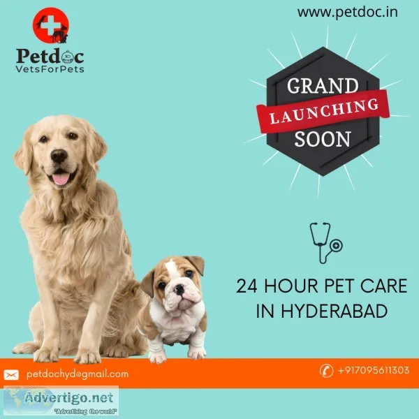 Best dogs training in hyderabad