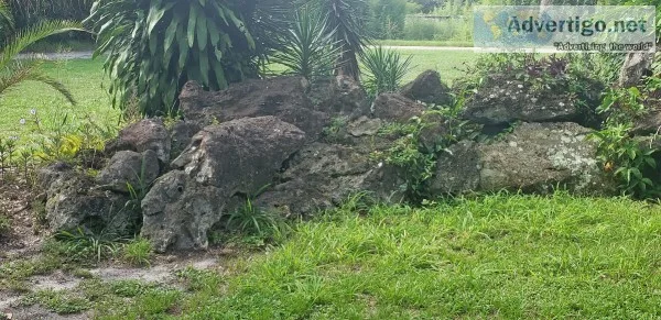 Lava Rock - Black - from baseball size to boulders