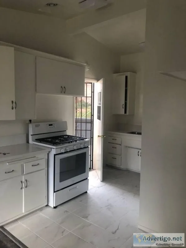 Newly Renovated 1 Bed 1 Bath