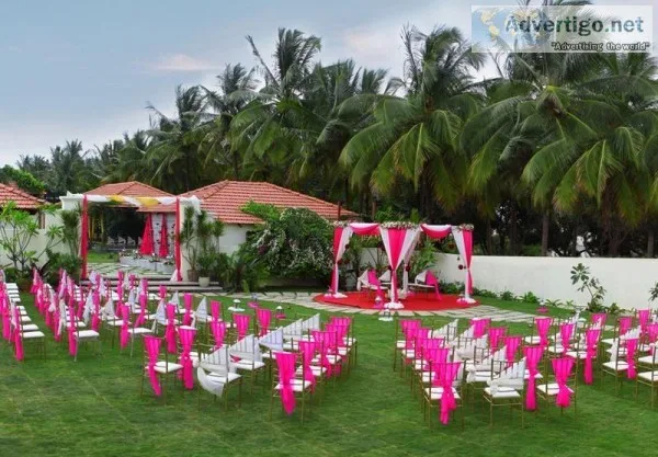 What was the most unique wedding you ever planned