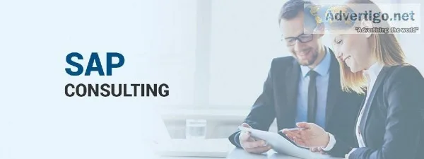 Peol Technologies - Professional SAP Services Company