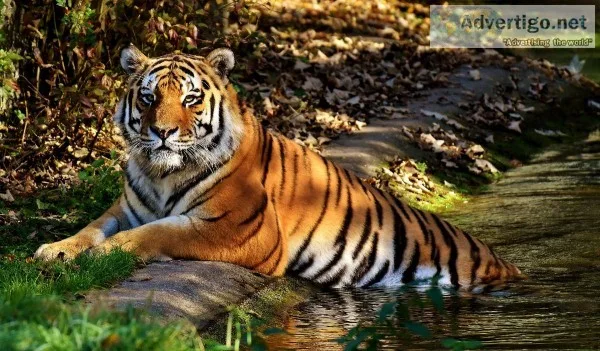 Ratnagiri Tour Package