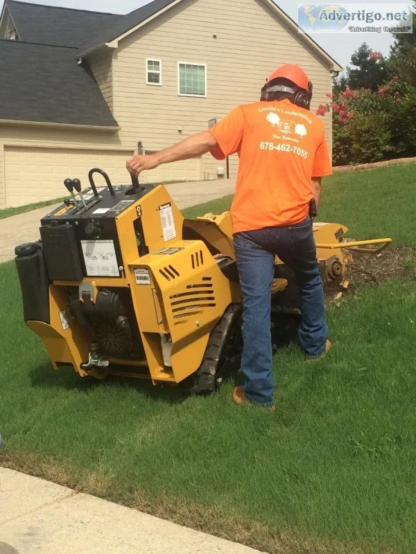 Tree Stump Removal