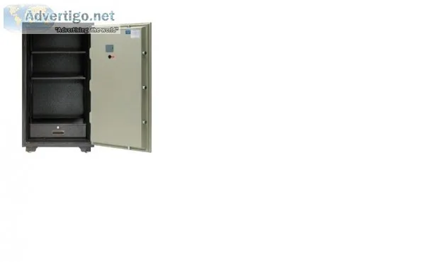Ozone Best Fire Warrior-100 Safe (276 Ltr.) - Laposs Hardware
