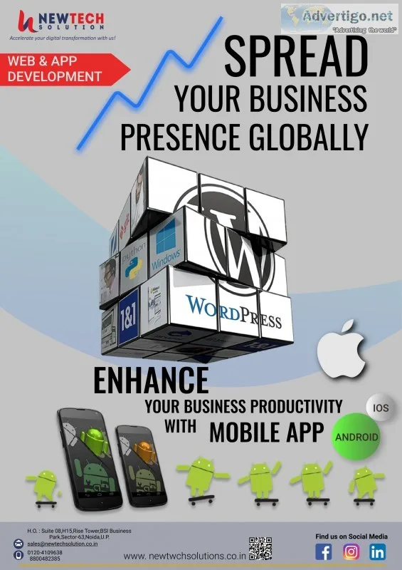 Web development