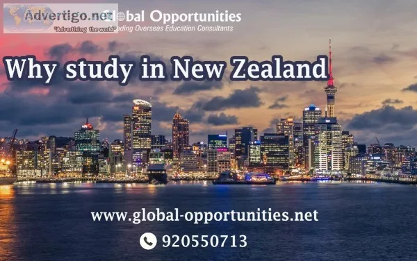 Why Study in New Zealand