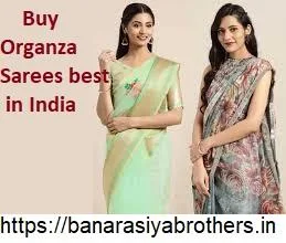 Buy Organza Sarees best in India &ndash Banarasiyabrothers