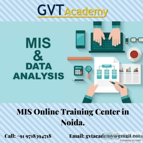 Best MIS Professionals (Online)Training Institute in Noida - GVT