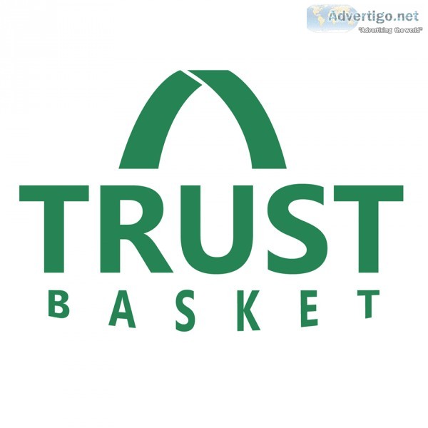 Pots and Planters Online in India  TrustBasket