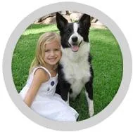 Hidden Dog Fencing in Wichita KS