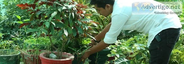 7 Best Career Options for BSc. Agriculture students