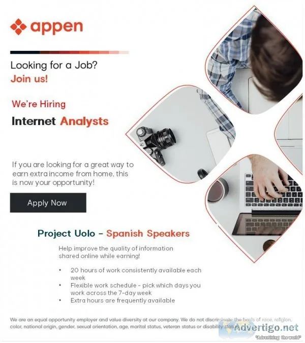 Internet Analyst