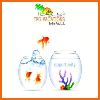 Digital Marketing Executive Jobs In TFG