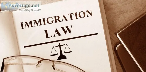 Let Professional Lawyers Handle your all Legal Paperwork