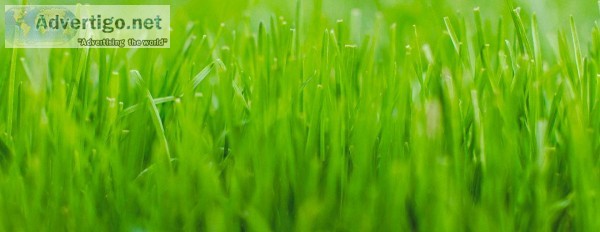 lawn service near me  emeraldlawncareinc.c om
