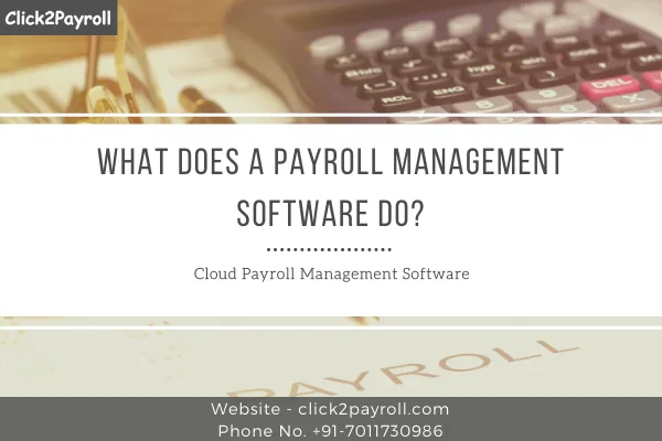 Payroll management software - All you need to know about its fun