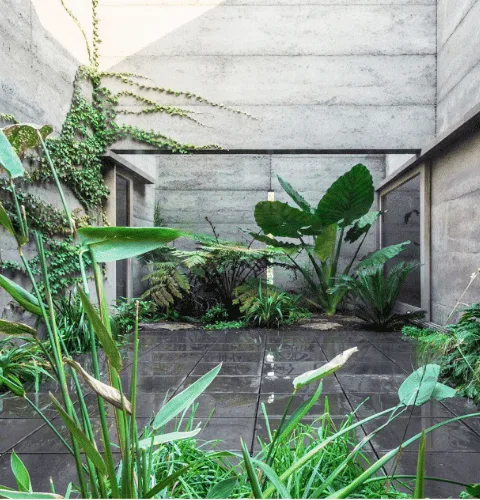Customised Garden Design Services