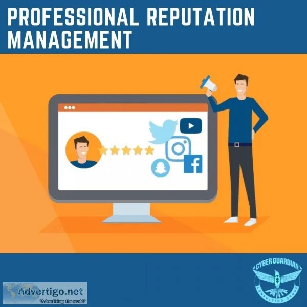Professional Reputation Management Company