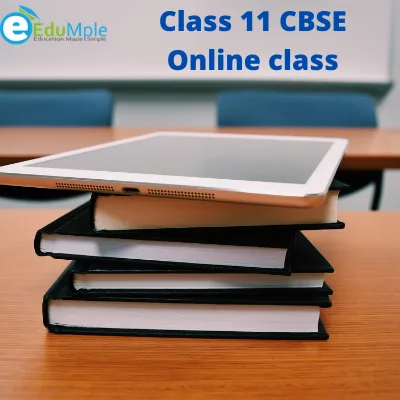 Class 11 CBSE Online class