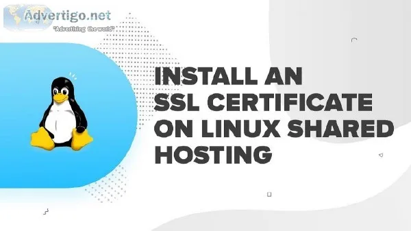Grow your online business with best LInux shared hosting