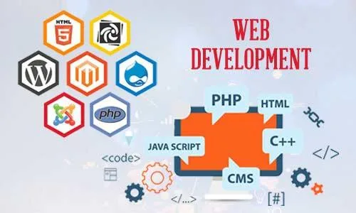 Web Designing Company in Noida
