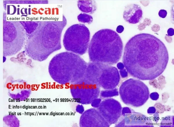 Cytology Slides