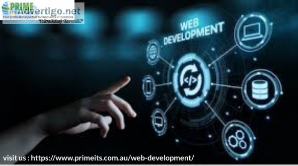 custom website development professional website development