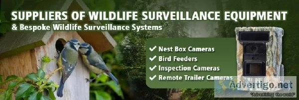 Wildlife Cameras  Ukwildlifecameras.co .uk