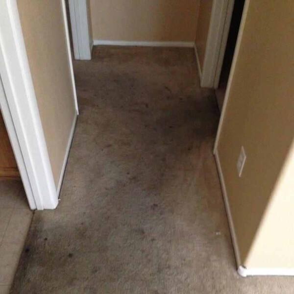 Professional Carpet Cleaning Service In Yucaipa