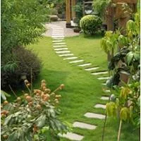 Affordable Lawn Service