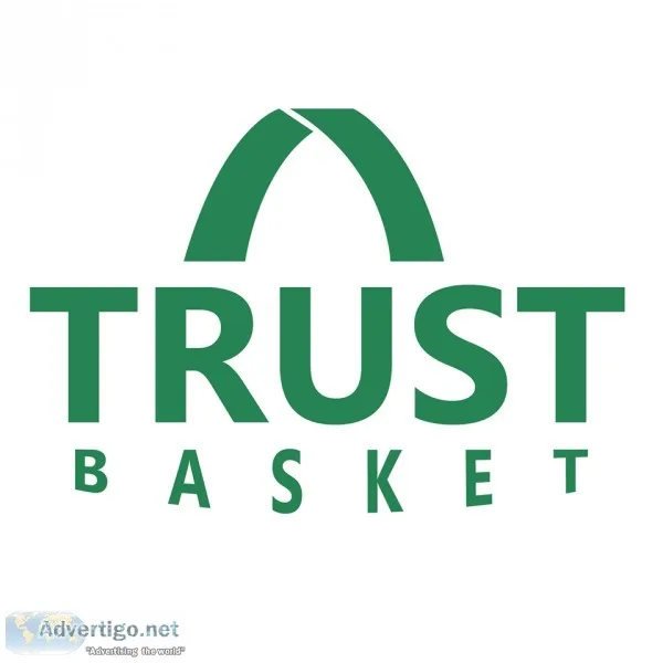 Indoor Decorative Plant Pots Online  TrustBasket
