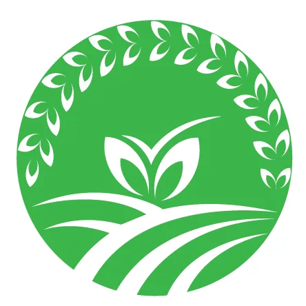 Household items buy online in patna