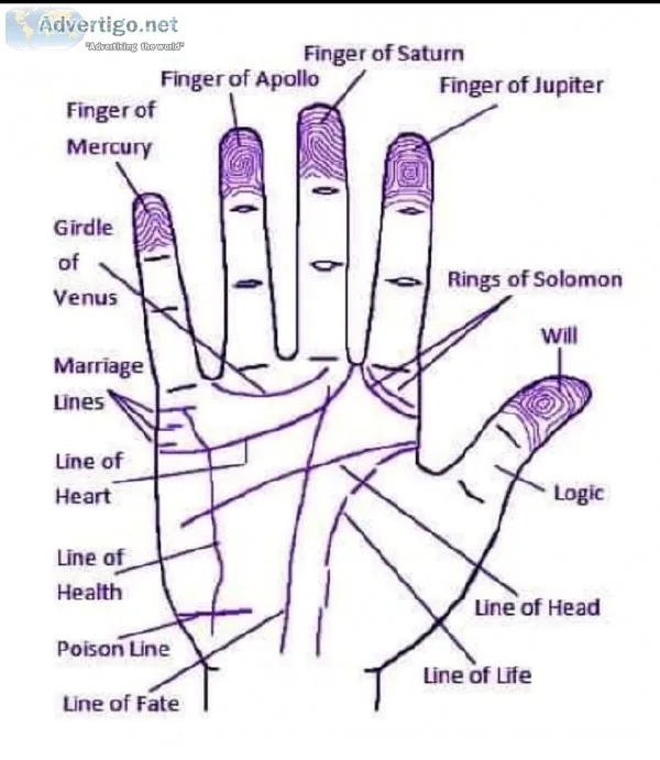 Astrology Consultation Rs.1500