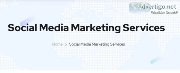 top seo company in jaipur