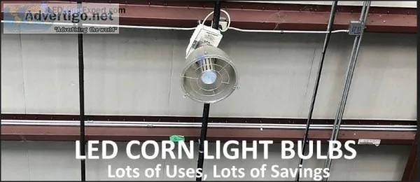 LED Corn light  LED Light Expert