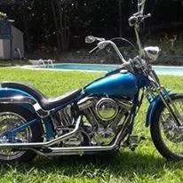 2010 Custom Paughco front end and soft tail.