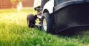 Your Guide to Greener Grass Year Round - Scott s Landscaping