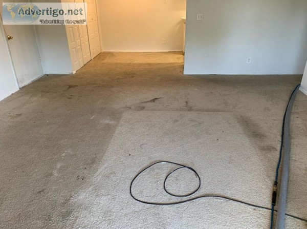 Mr. Banks Carpet Cleaners