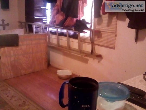 12  Ft. Aluminum ladder