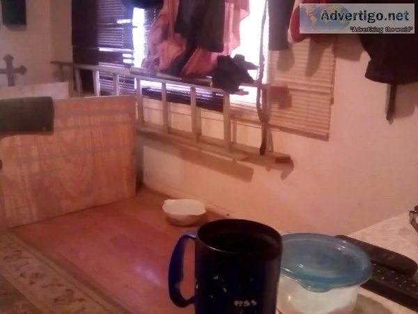 12  Ft. Aluminum ladder