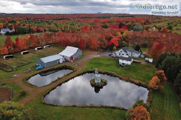 Magnificent farmhouse for nature lovers Sherbrooke