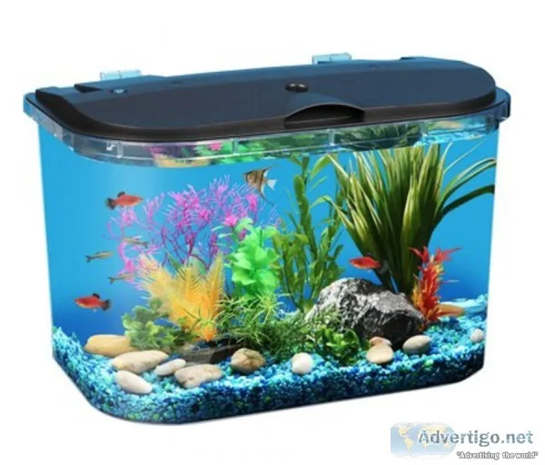 Koller Products Tropical Panaview Aquarium Starter Kit 5-gal