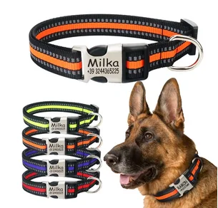 Shop for Customised Collar for Dogs ShoppySanta