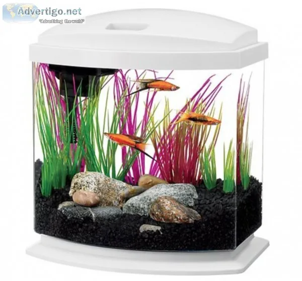 Aqueon LED MiniBow Aquarium Starter Kit with LED Lighting